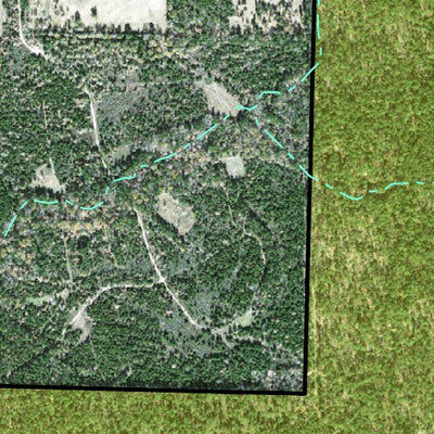 Individal Compartment Map of the Davy Crockett National Forest v54 Preview 3