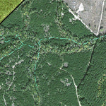 Individal Compartment Map of the Davy Crockett National Forest v30 Preview 2