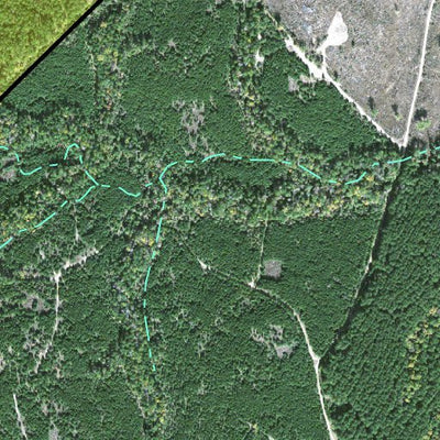 Individal Compartment Map of the Davy Crockett National Forest v30 Preview 2