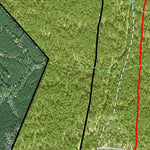 Individal Compartment Map of the Davy Crockett National Forest v30 Preview 3