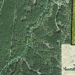 Individal Compartment Map of the Davy Crockett National Forest v13 Preview 2