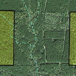 Individal Compartment Map of the Davy Crockett National Forest v13 Preview 3