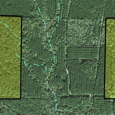 Individal Compartment Map of the Davy Crockett National Forest v13 Preview 3