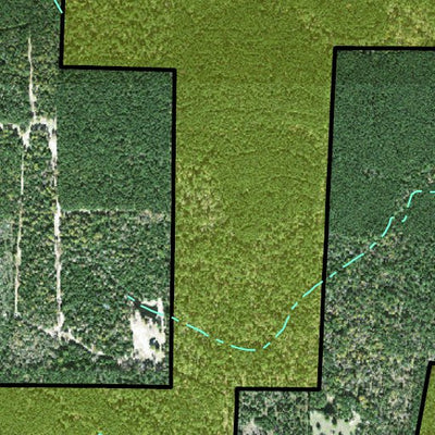 Individal Compartment Map of the Davy Crockett National Forest v59 Preview 3