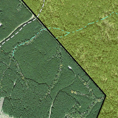 Individal Compartment Map of the Davy Crockett National Forest v29 Preview 2