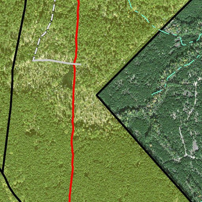 Individal Compartment Map of the Davy Crockett National Forest v29 Preview 3