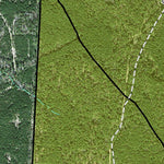 Individal Compartment Map of the Davy Crockett National Forest v55 Preview 3