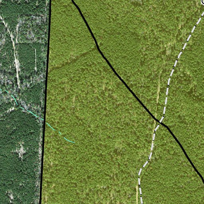 Individal Compartment Map of the Davy Crockett National Forest v55 Preview 3