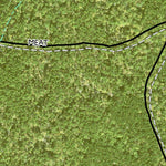 Individal Compartment Map of the Davy Crockett National Forest v31 Preview 2