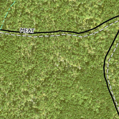 Individal Compartment Map of the Davy Crockett National Forest v31 Preview 2