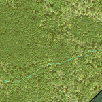 Individal Compartment Map of the Davy Crockett National Forest v31 Preview 3