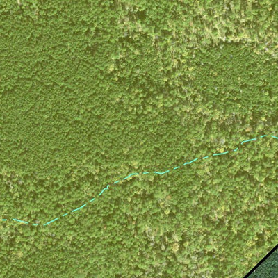 Individal Compartment Map of the Davy Crockett National Forest v31 Preview 3