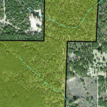 Individal Compartment Map of the Davy Crockett National Forest v60 Preview 2