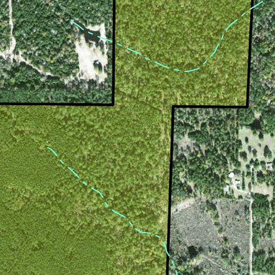 Individal Compartment Map of the Davy Crockett National Forest v60 Preview 2