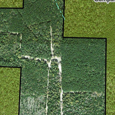 Individal Compartment Map of the Davy Crockett National Forest v60 Preview 3