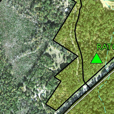 Individal Compartment Map of the Davy Crockett National Forest v63 Preview 2