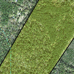 Individal Compartment Map of the Davy Crockett National Forest v63 Preview 3