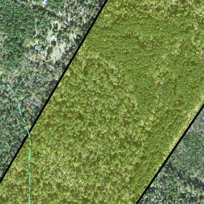 Individal Compartment Map of the Davy Crockett National Forest v63 Preview 3
