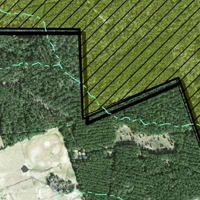 Individal Compartment Map of the Davy Crockett National Forest v14 Preview 2
