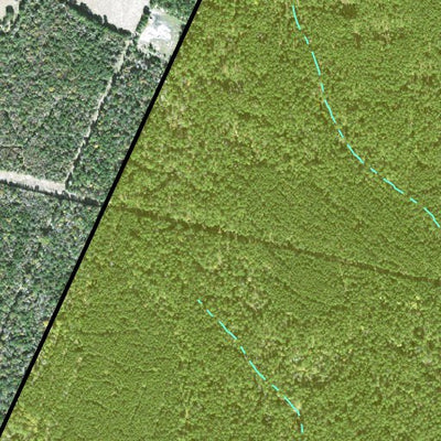 Individal Compartment Map of the Davy Crockett National Forest v32 Preview 3