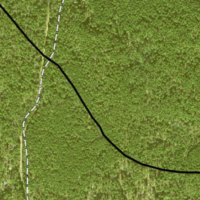 Individal Compartment Map of the Davy Crockett National Forest v67 Preview 2