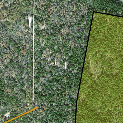 Individal Compartment Map of the Davy Crockett National Forest v67 Preview 3