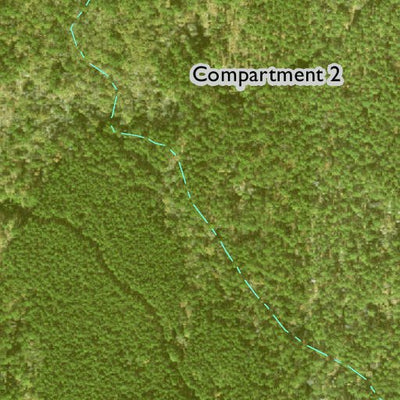 Individal Compartment Map of the Davy Crockett National Forest v44 Preview 2