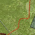 Individal Compartment Map of the Davy Crockett National Forest v34 Preview 2