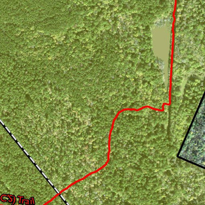 Individal Compartment Map of the Davy Crockett National Forest v34 Preview 2