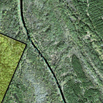 Individal Compartment Map of the Davy Crockett National Forest v34 Preview 3