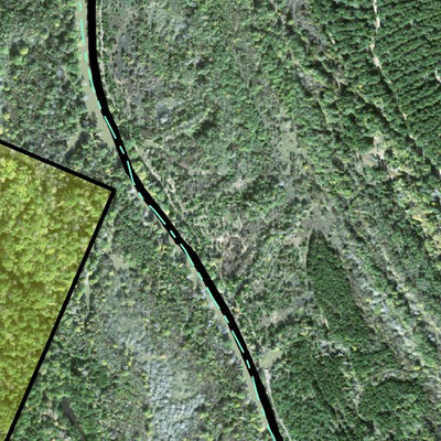 Individal Compartment Map of the Davy Crockett National Forest v34 Preview 3