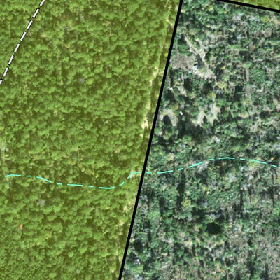 Individal Compartment Map of the Davy Crockett National Forest v61 Preview 2