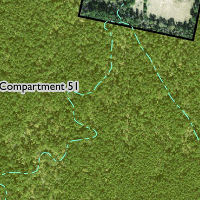 Individal Compartment Map of the Davy Crockett National Forest v69 Preview 2