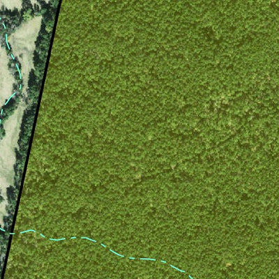 Individal Compartment Map of the Davy Crockett National Forest v69 Preview 3