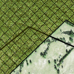 Individal Compartment Map of the Davy Crockett National Forest v38 Preview 2