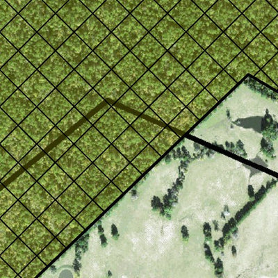 Individal Compartment Map of the Davy Crockett National Forest v38 Preview 2