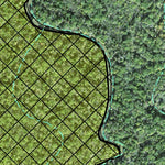 Individal Compartment Map of the Davy Crockett National Forest v38 Preview 3