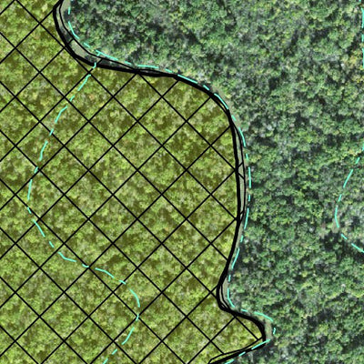Individal Compartment Map of the Davy Crockett National Forest v38 Preview 3