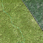 Individal Compartment Map of the Davy Crockett National Forest v74 Preview 3