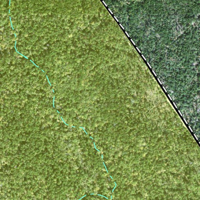 Individal Compartment Map of the Davy Crockett National Forest v74 Preview 3