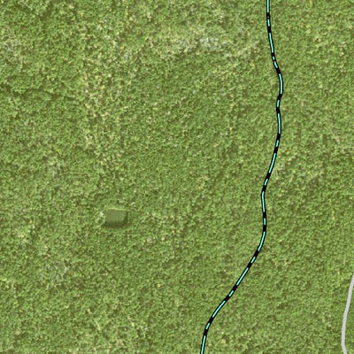 Individal Compartment Map of the Davy Crockett National Forest v75 Preview 2
