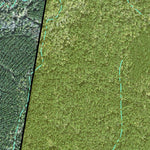 Individal Compartment Map of the Davy Crockett National Forest v75 Preview 3