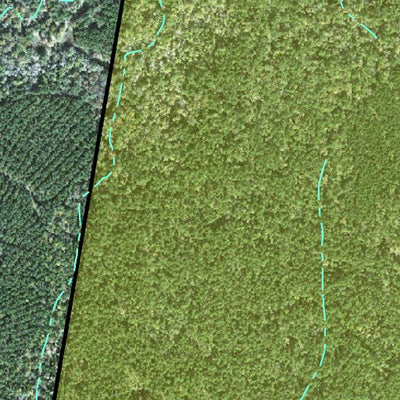 Individal Compartment Map of the Davy Crockett National Forest v75 Preview 3