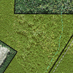 Individal Compartment Map of the Davy Crockett National Forest v65 Preview 3