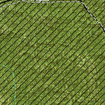Individal Compartment Map of the Davy Crockett National Forest v19 Preview 2