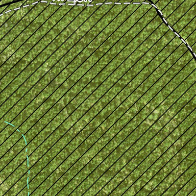 Individal Compartment Map of the Davy Crockett National Forest v19 Preview 2