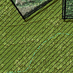 Individal Compartment Map of the Davy Crockett National Forest v19 Preview 3
