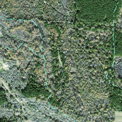 Individal Compartment Map of the Davy Crockett National Forest v21 Preview 3