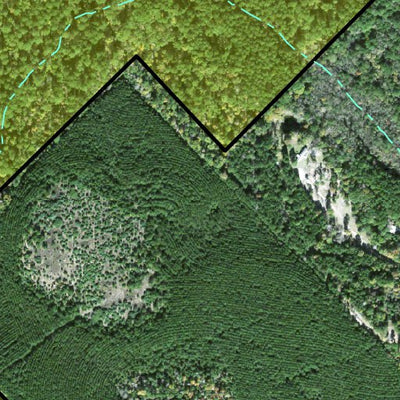 Individal Compartment Map of the Davy Crockett National Forest v22 Preview 2