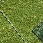 Individal Compartment Map of the Davy Crockett National Forest v22 Preview 3